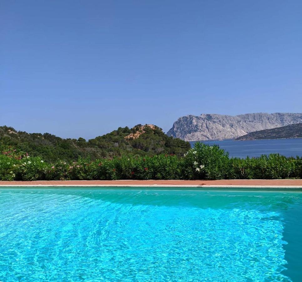 Appartement San Teodoro Punta Est Curatissimo Bilocale à Cap Coda Cavallo Extérieur photo