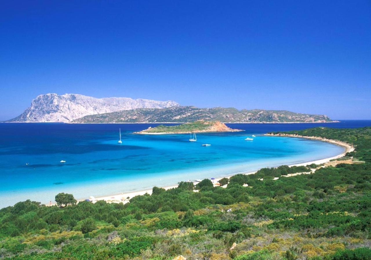 Appartement San Teodoro Punta Est Curatissimo Bilocale à Cap Coda Cavallo Extérieur photo