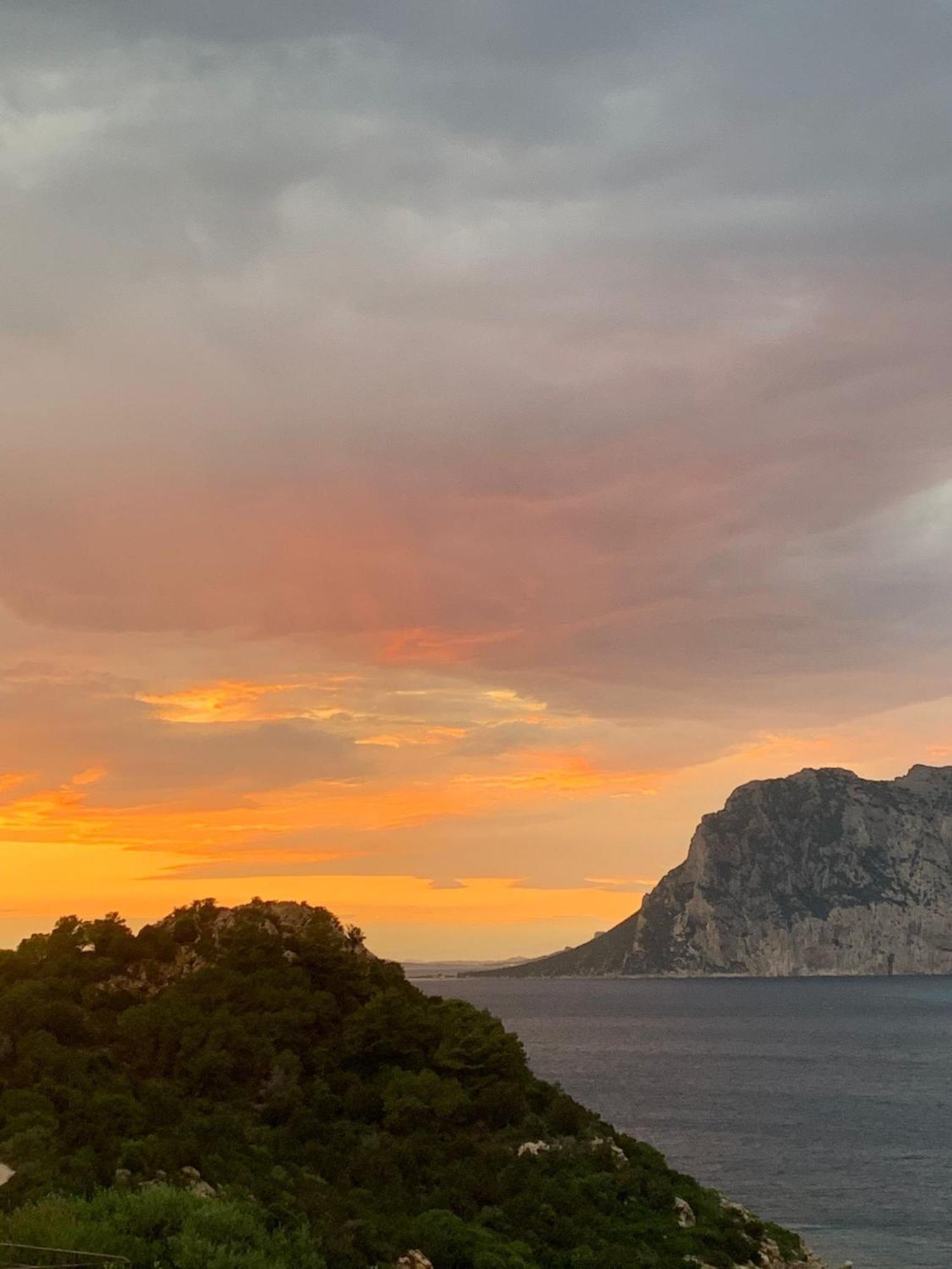 Appartement San Teodoro Punta Est Curatissimo Bilocale à Cap Coda Cavallo Extérieur photo